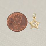 Gold Star Charm
