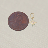 Gold Star Charm