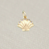 Shell Charm