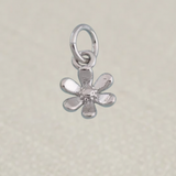 Silver Tiny Daisy Charm