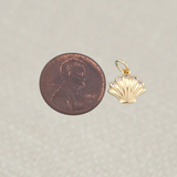 Shell Charm