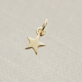 Gold Star Charm